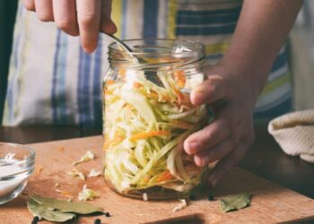 chucrut alimento flora intestinal microbiota intestino salud digestiva