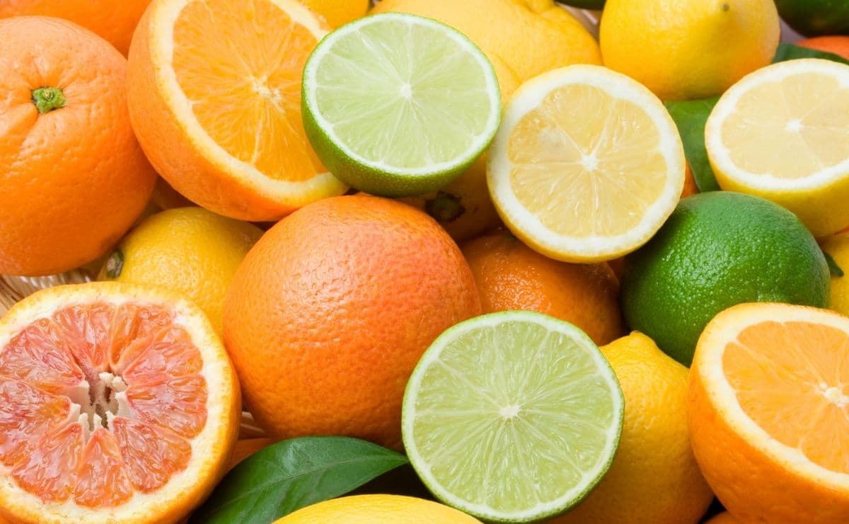 cítrico alimento fruta naranja