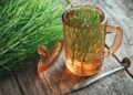 5 contraindicaciones de tomar cola de caballo a diario para la salud