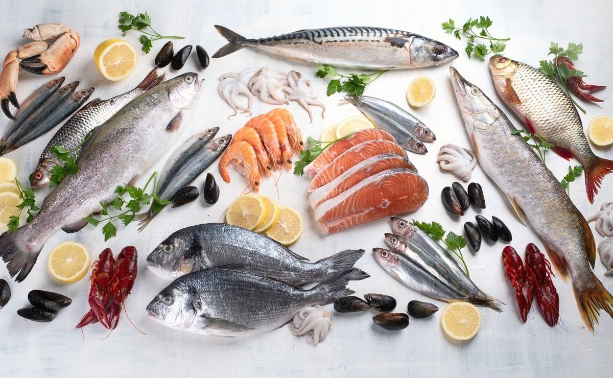 Variedad de pescado