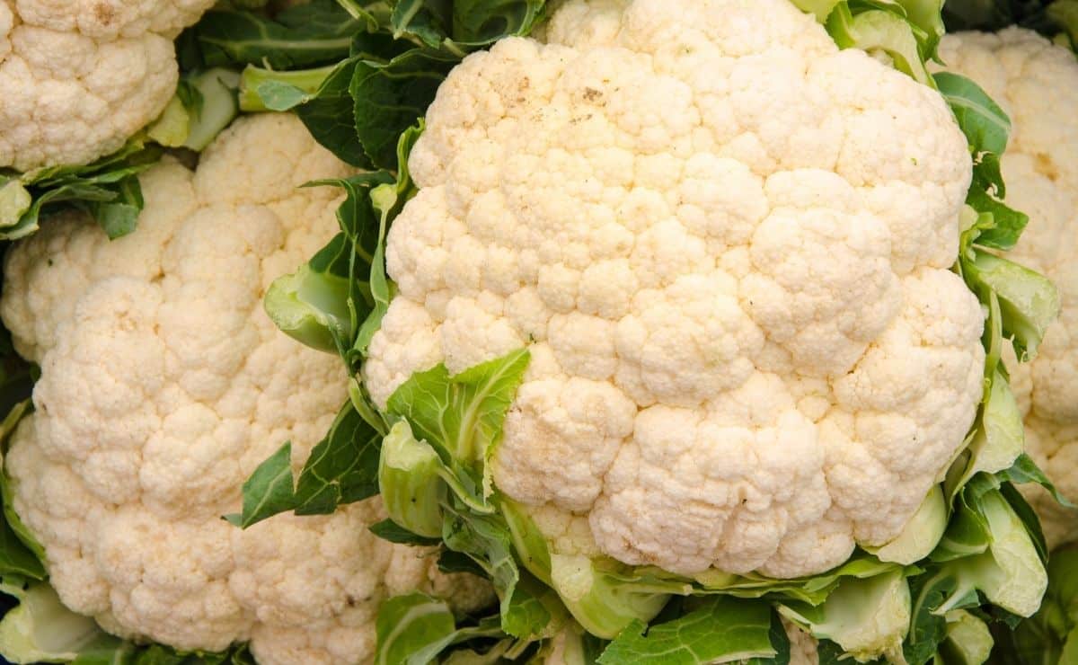 coliflor alimento comida hortaliza verdura riñones renal salud