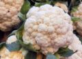 coliflor proteger sistema inmunitario