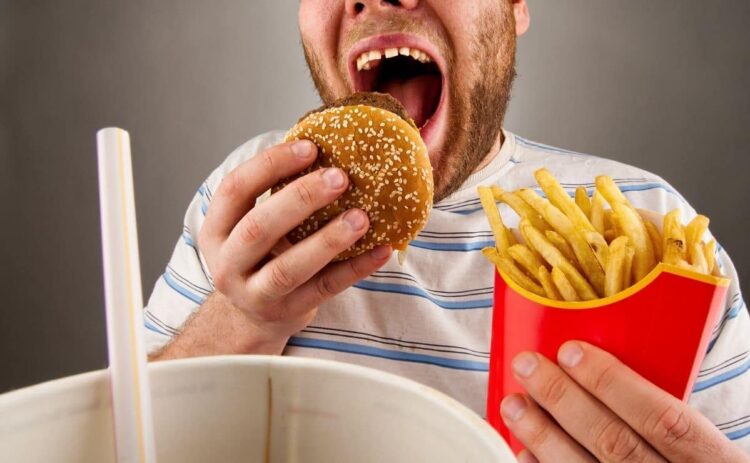 comer hamburguesa cerebro comida ultraprocesada rapida cerebro