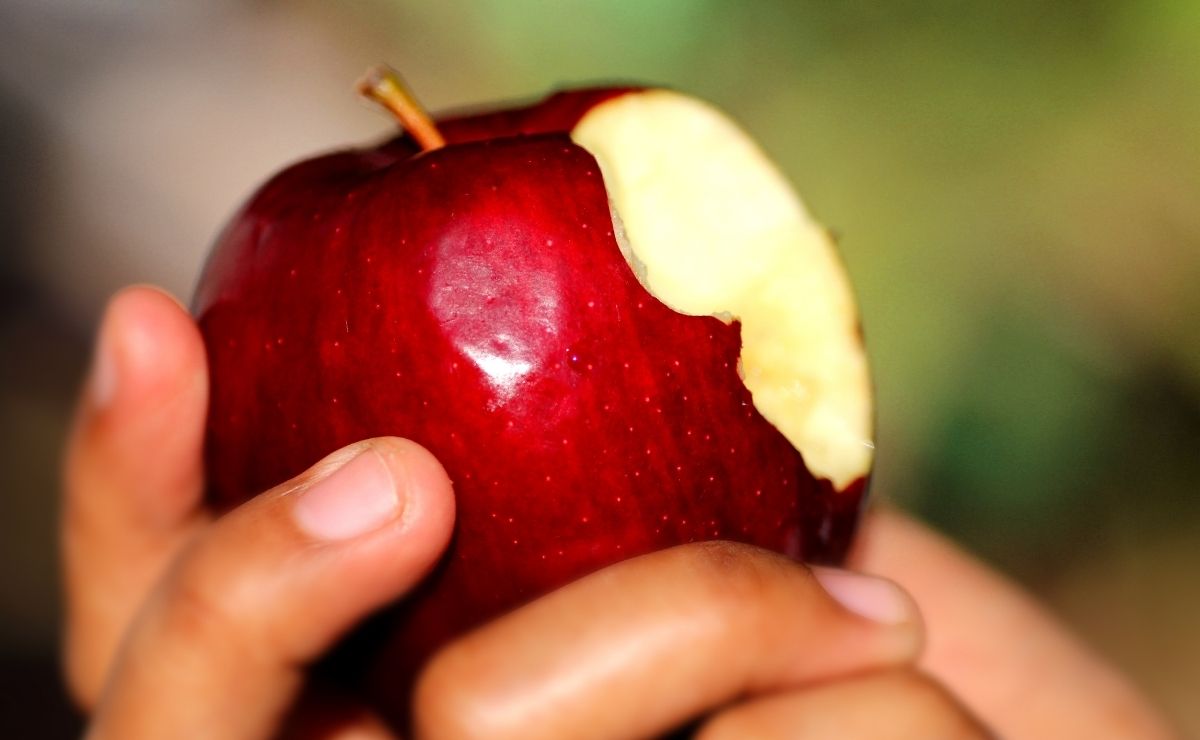 comer manzana fruta alimento postre digestión fibra 