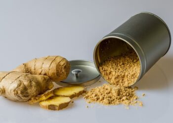 como cultivar jengibre
