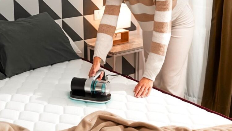 No más alergias: el aspirador de Cecotec que elimina el 99% de ácaros del  colchón para una limpieza extrema