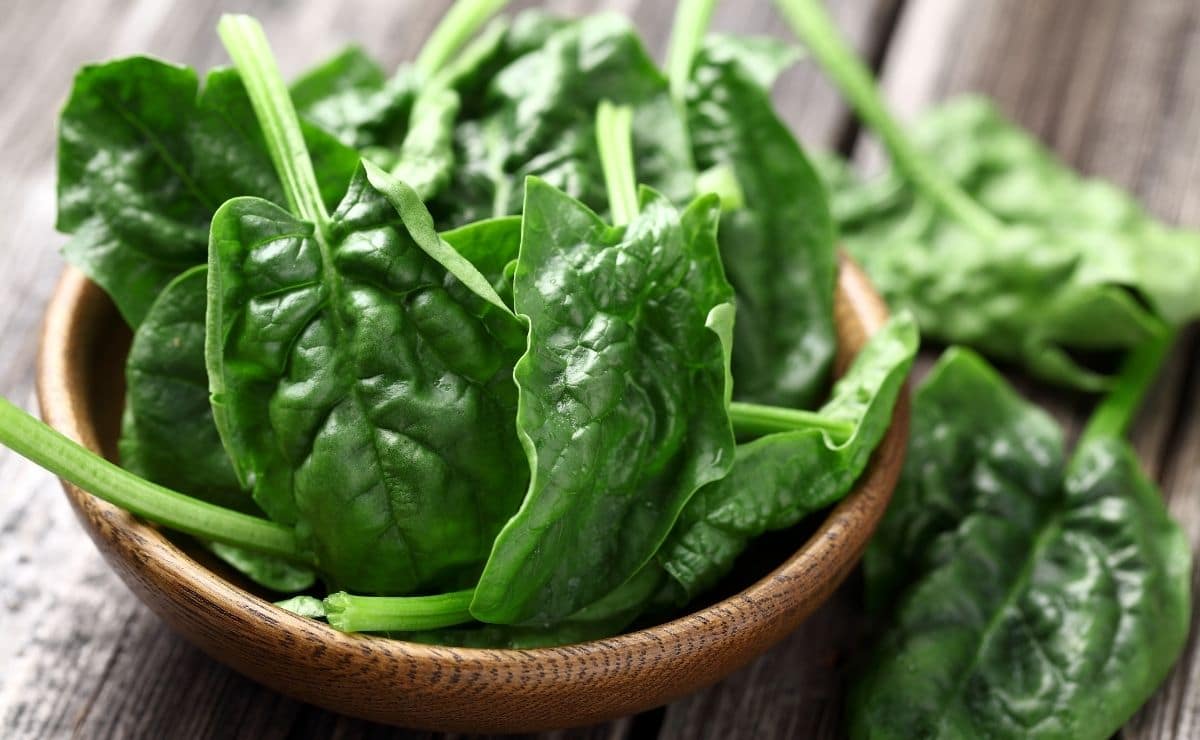 contraindicaciones espinacas organismo
