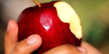 Estas son las 8 principales contraindicaciones de comer manzana 