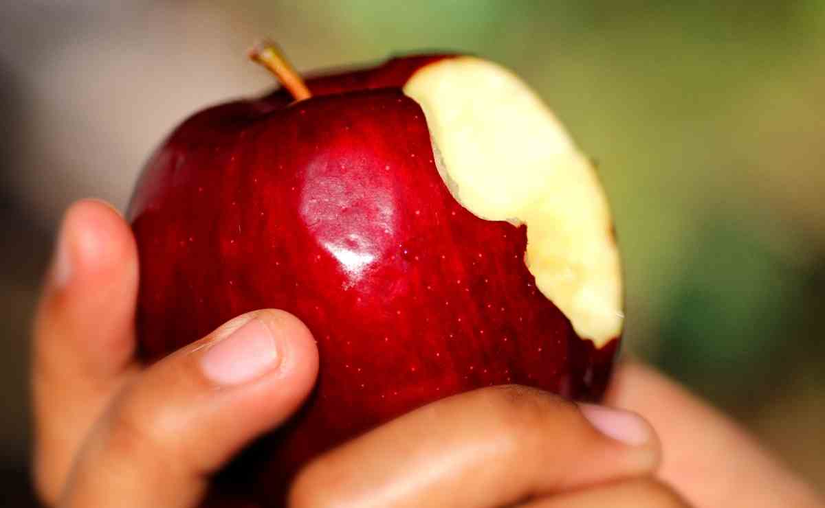 Estas son las 8 principales contraindicaciones de comer manzana 