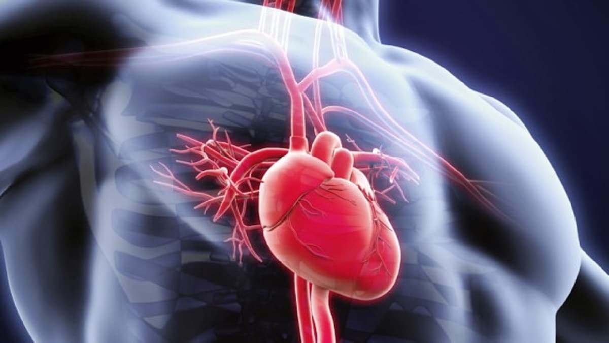 Confirman la relación entre depresión y afecciones cardíacas