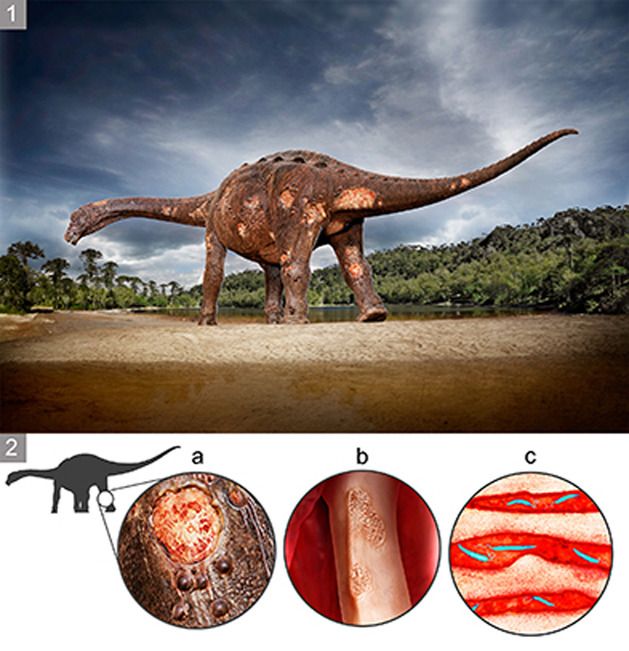 creación gráfica paleoartista hugo cafasso