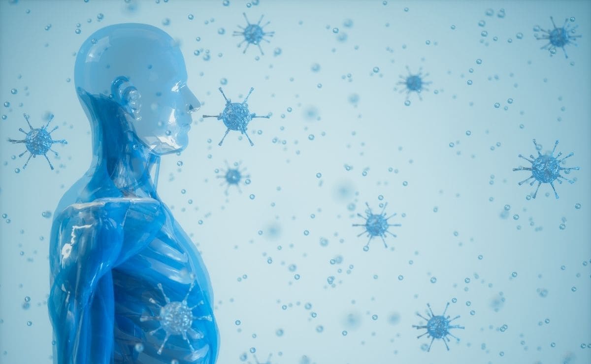 diferentes tipos de sistema inmune