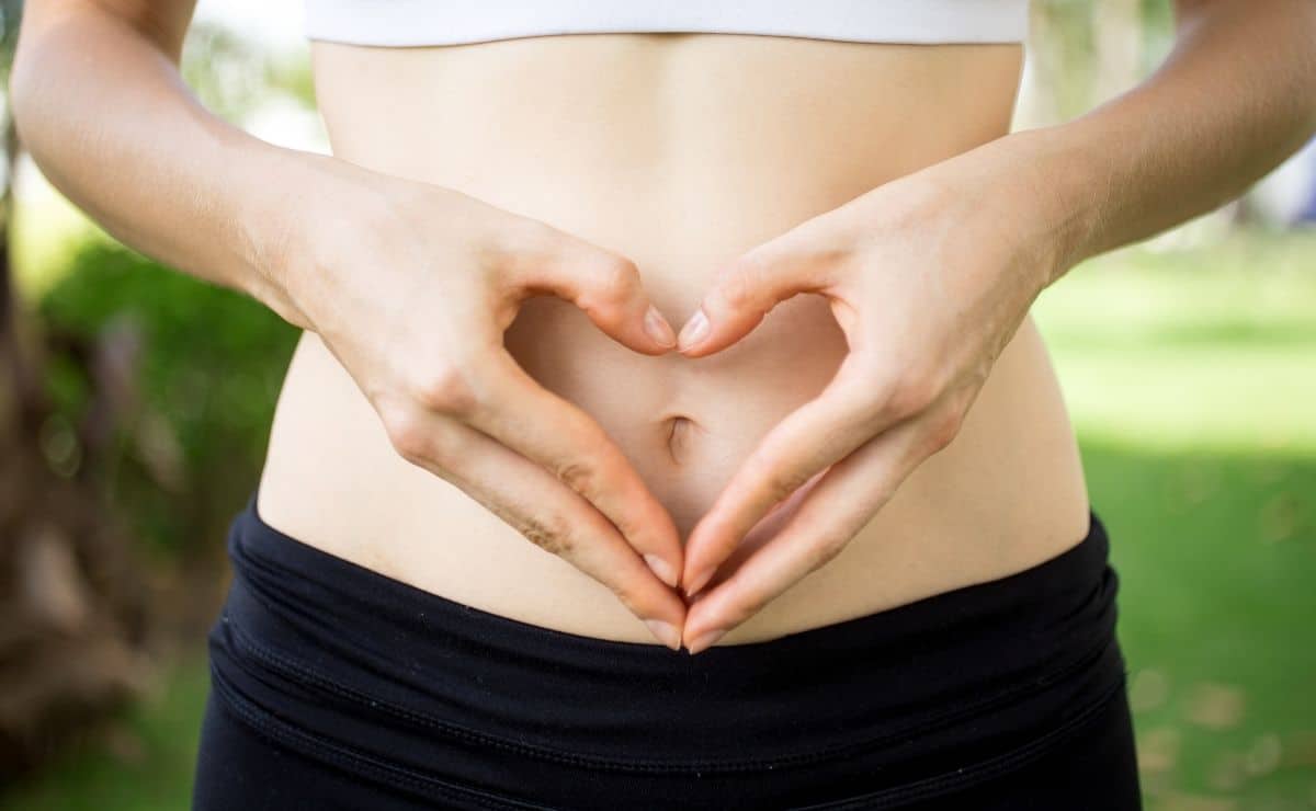 organismo digestión barriga tracto intestinal microbiota células