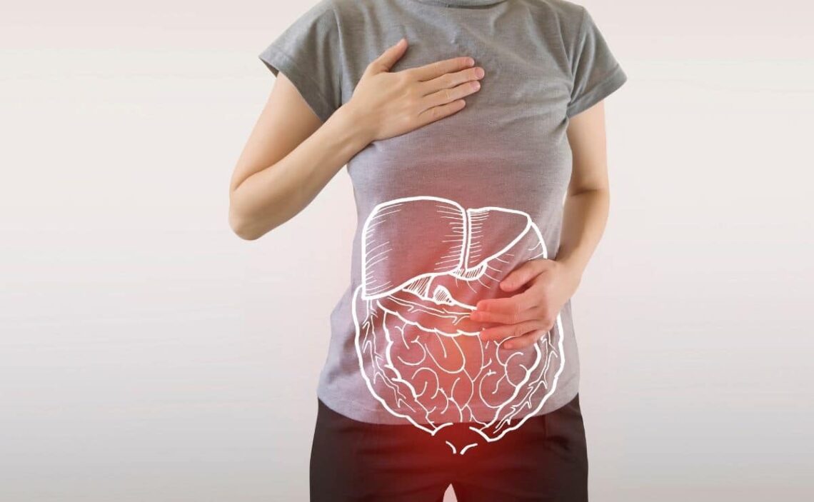 digestión, tracto intestinal, dieta alimentación nutrientes, intestino grueso