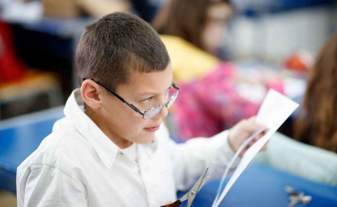 discapacidad intelectual