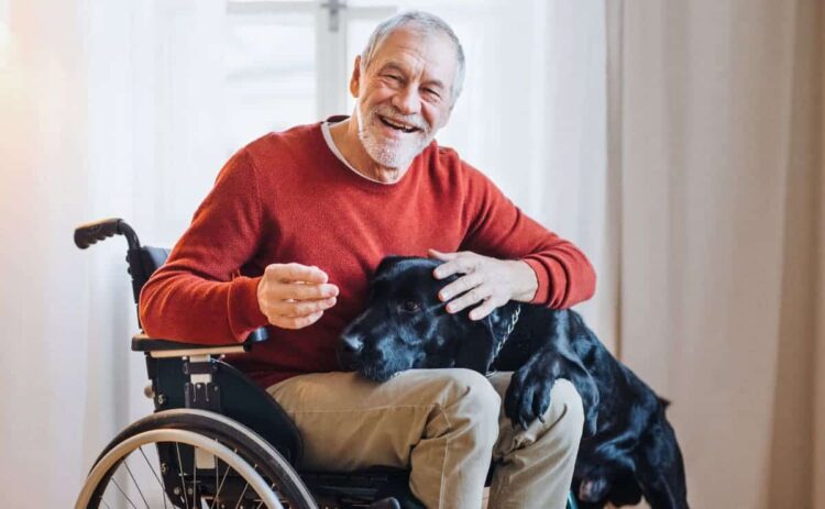 Persona con discapacidad en silla de ruedas que puede optar a la pensión por invalidez