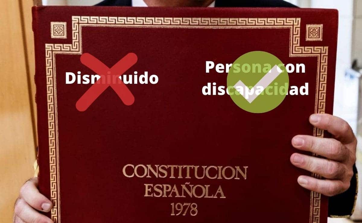 disminuido persona con discapacidad constitución