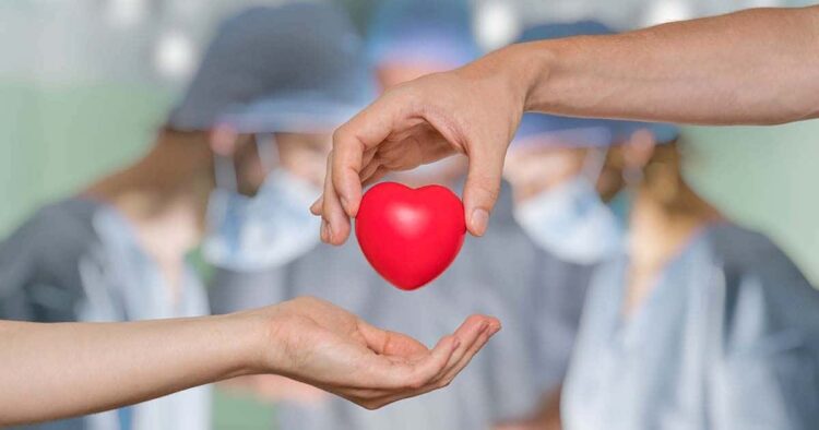 España revalida su predominio mundial en la donación de órganos