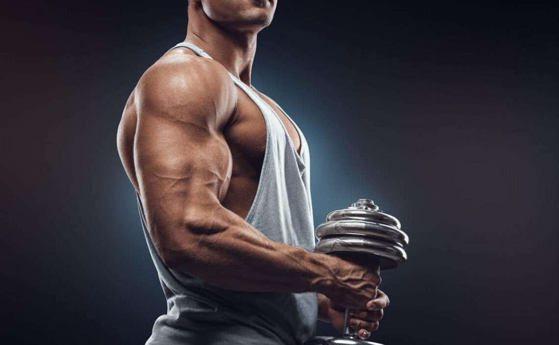 Ejercicio físico músculo Universidad Harvard fibra masa muscular bíceps tríceps