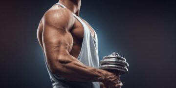 Ejercicio físico músculo Universidad Harvard fibra masa muscular bíceps tríceps