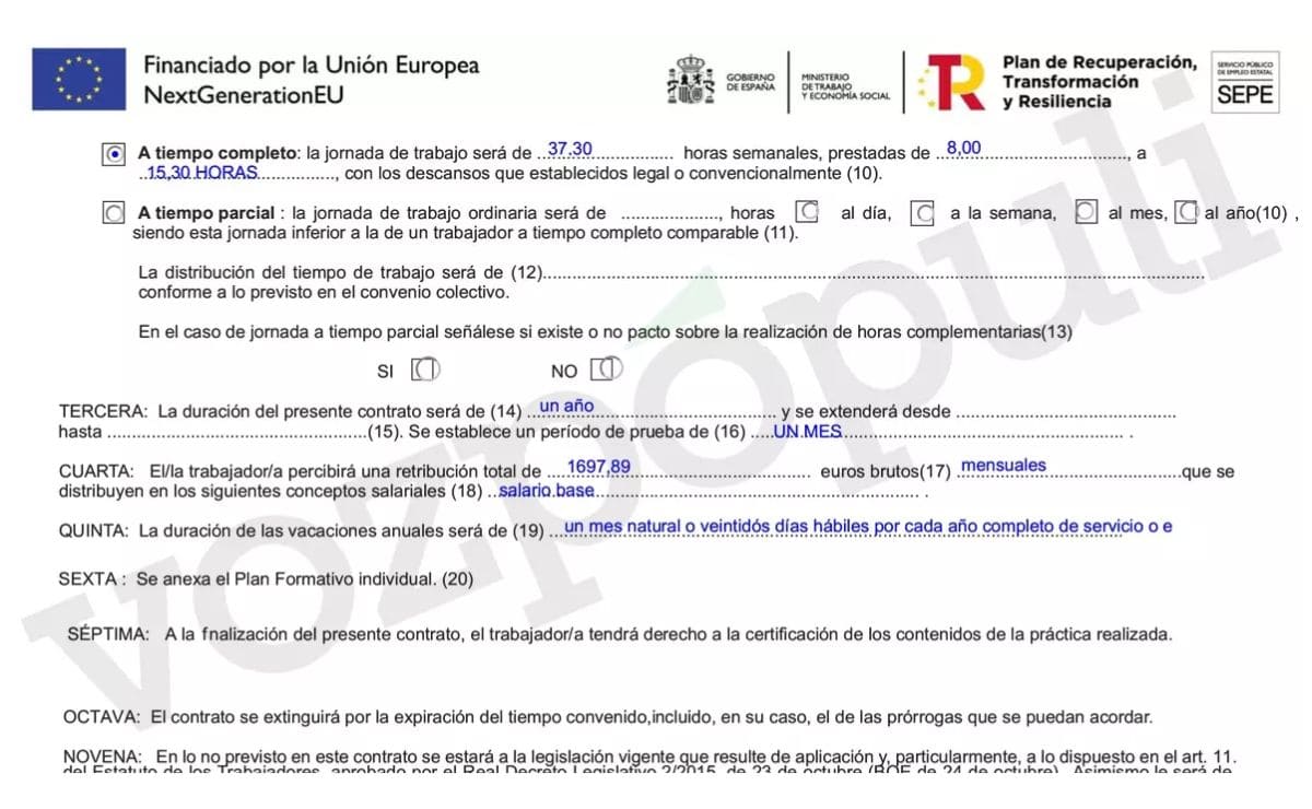 Un grupo de jóvenes denuncia los contratos ilegales en un programa de empleo del SEPE