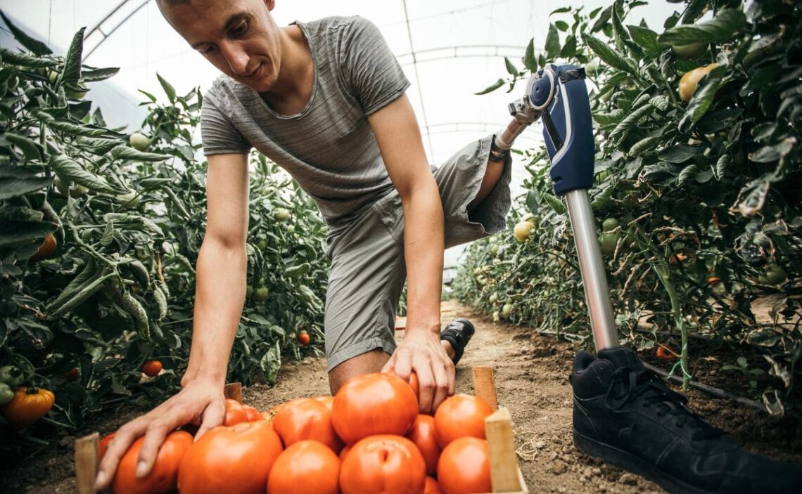 Desde el Gobierno se comprometen a mantener en el anteproyecto de ley a la contratación laboral y no cambiará las bonificaciones de las personas con discapacidad