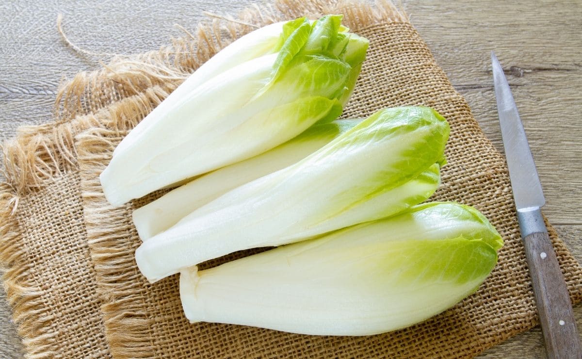 Las endibias son uno de los mejores alimentos para la salud de la piel