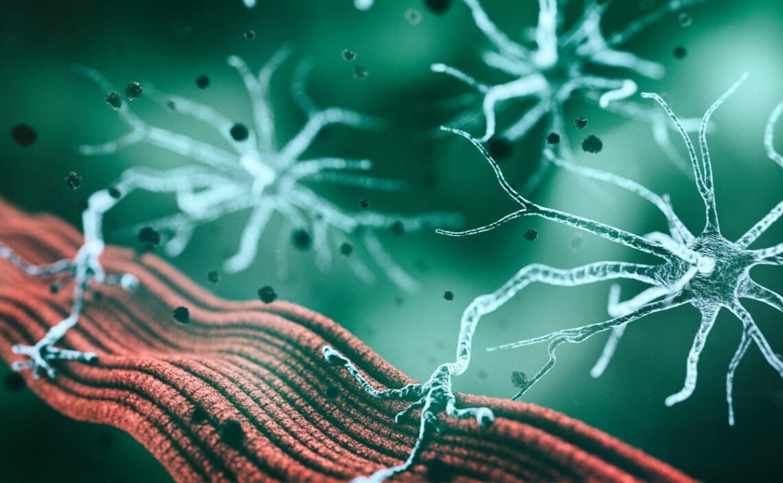 Piden mayor compromiso político y sanitario para las familias de personas con enfermedades neuromusculares