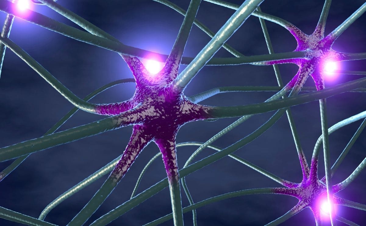 epilepsia neurología