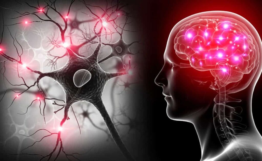Los expertos señalas que no existen varios tipos de esclerosis múltiple