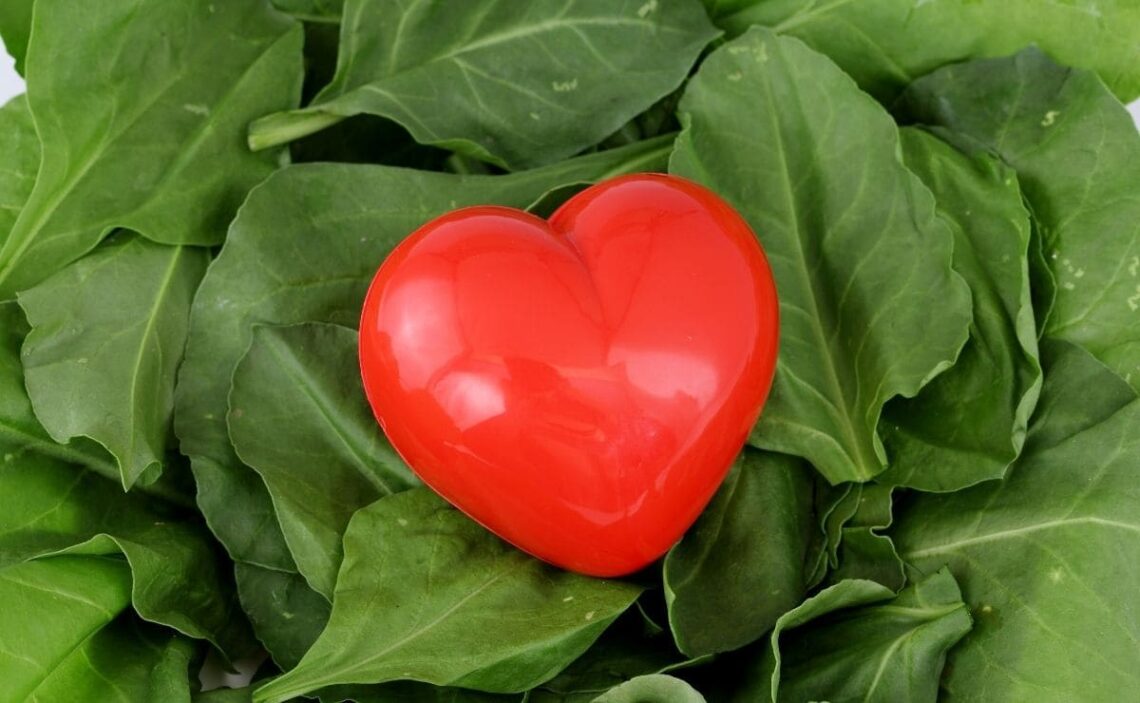 Alimento rico en vitamina A, fibra y ácido fólico importante para la salud
