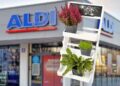 La estantería de plantas para el jardín de Aldi