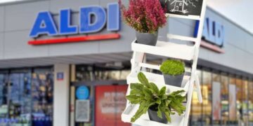 La estantería de plantas para el jardín de Aldi