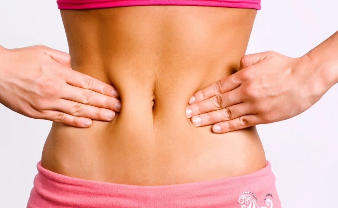 flora intestinal yogur