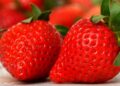 fresas, antioxidantes