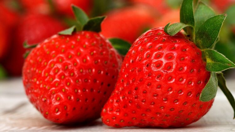 fresas, antioxidantes