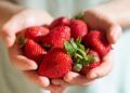 Curiosidades de las fresas para que quieras comerlas a diario