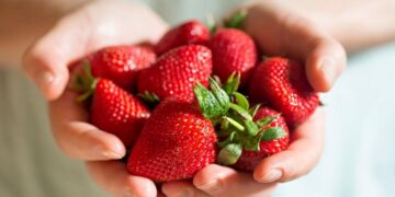 Curiosidades de las fresas para que quieras comerlas a diario