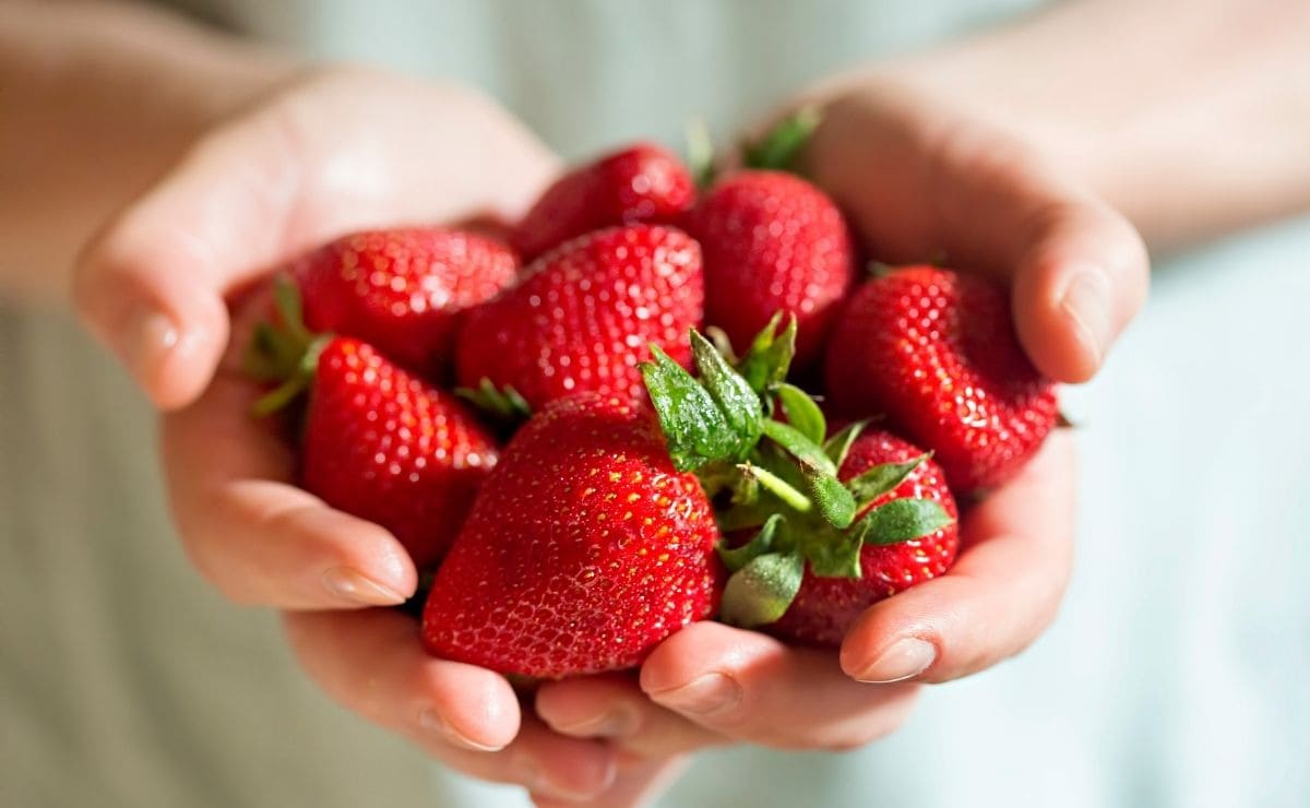 Receta de mermelada de fresas saludable para cuidar la salud