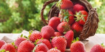 Mascarilla casera con fresas ideal para prevenir el envejecimiento