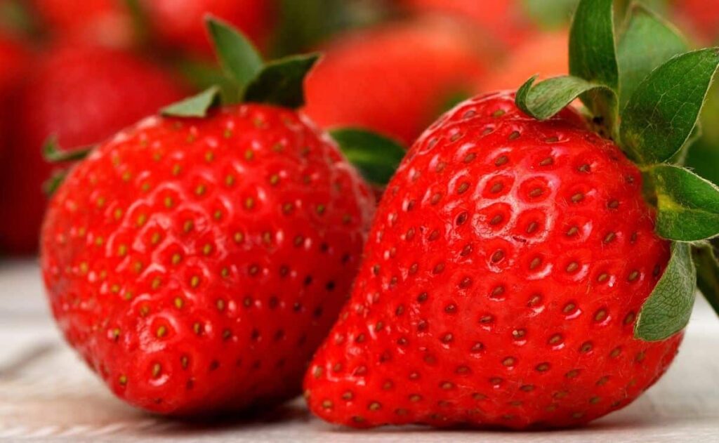 fresas