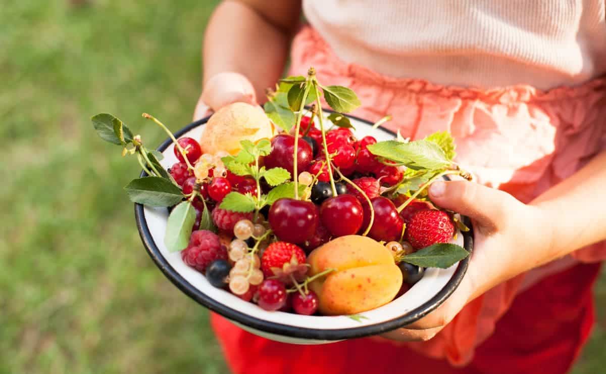 Bandeja de fruta de verano