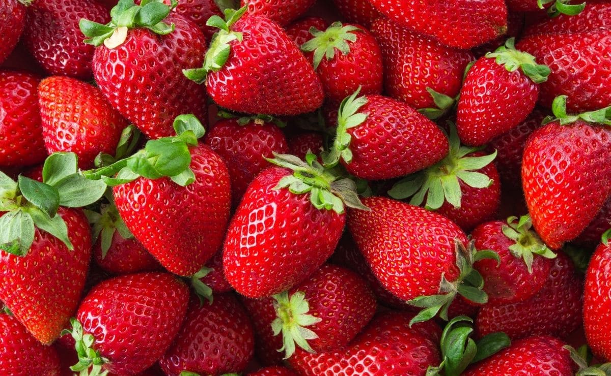 fresas alimento fruta postre corazón sangre circulación sanguínea alimento