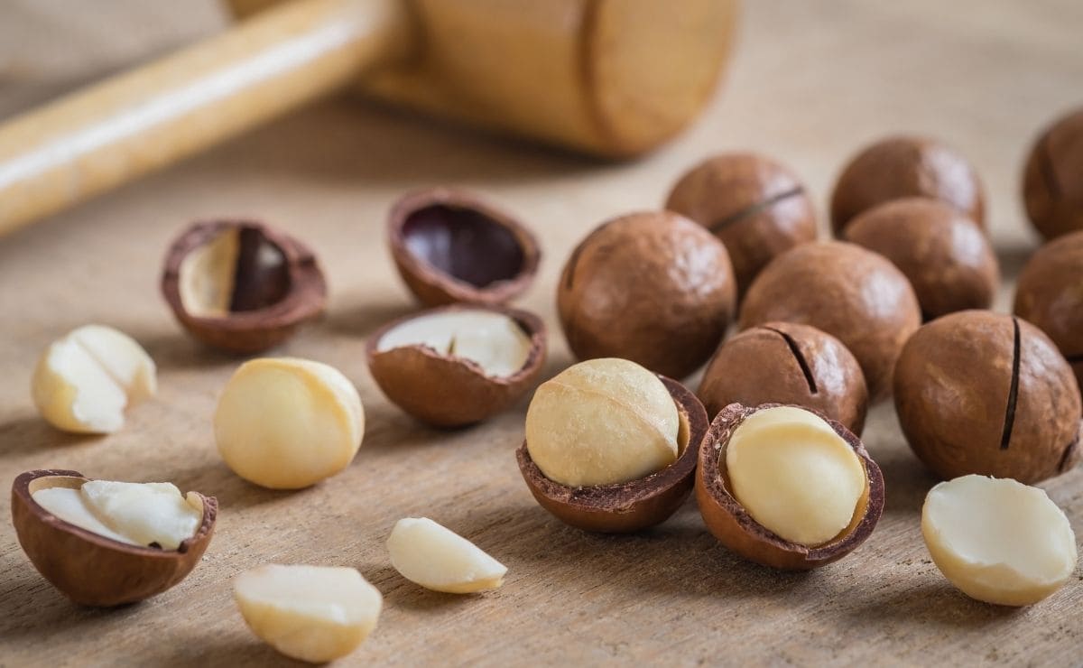Las nueces de macadamia actúan como laxante natural en nuestro cuerpo