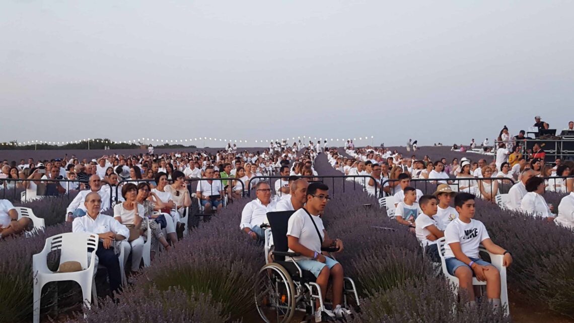 Personas en campo de lavanda