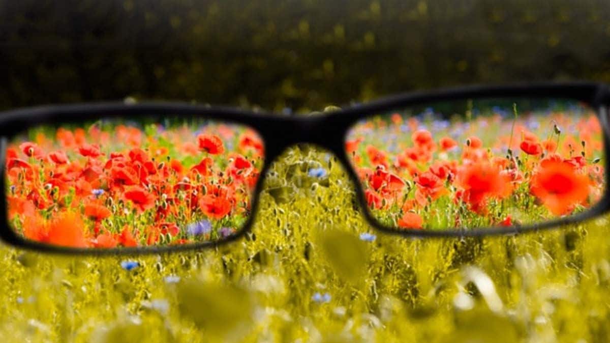 No existen gafas que permiten a los daltónicos ver nuevos colores