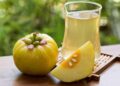 Garcinia cambogia