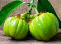 Garcinia cambogia