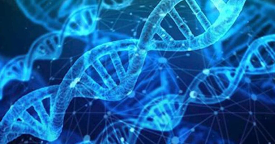 Genomas del ADN