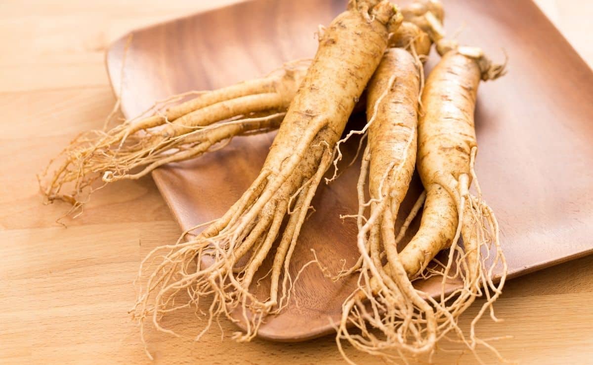 ginseng presión sanguínea tensión arterial sangre corazón alimento